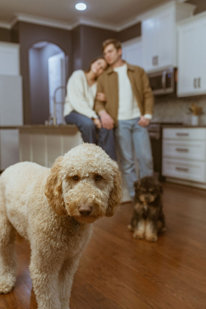 Couple relaxing in the kitchen with dogs around them, during their fall photoshoot.